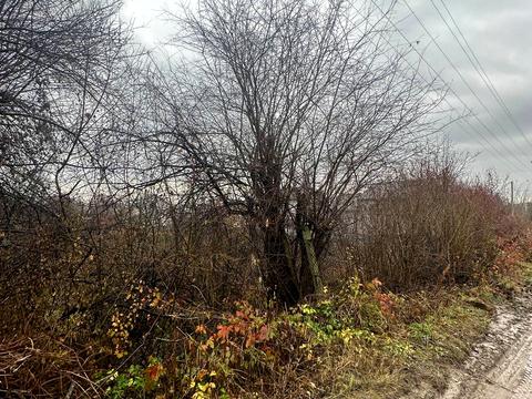 ділянка за адресою 