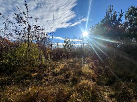 участок по адресу 