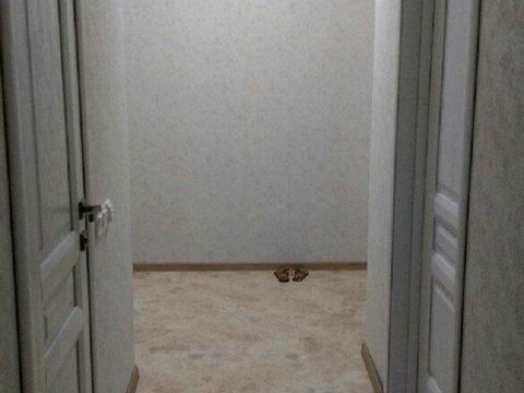 квартира за адресою Заміська вул., 2