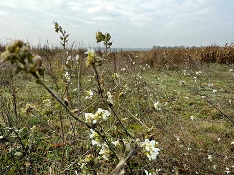 участок по адресу Наталії Ужвій