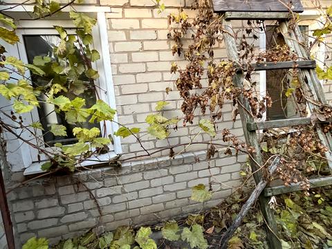 дом по адресу Шишкина ул. (Шишкина), 58