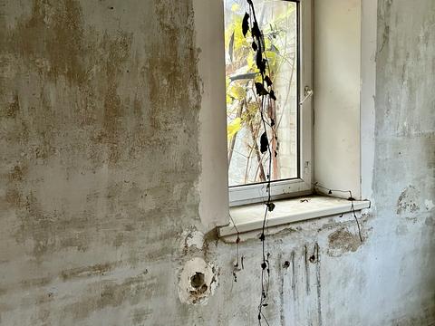 дом по адресу Шишкина ул. (Шишкина), 58