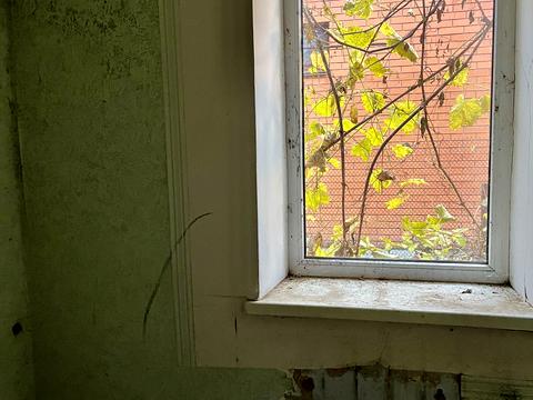 дом по адресу Шишкина ул. (Шишкина), 58