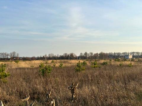 участок по адресу 