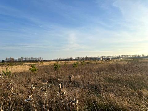 участок по адресу 