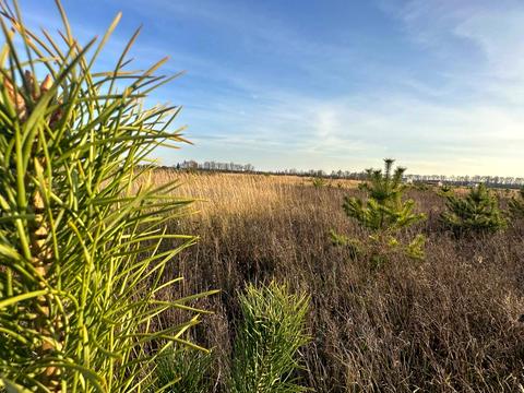 участок по адресу 