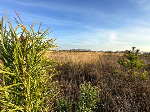 участок по адресу 