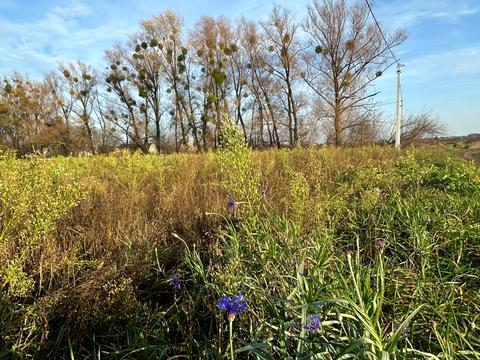 участок по адресу Щаслива