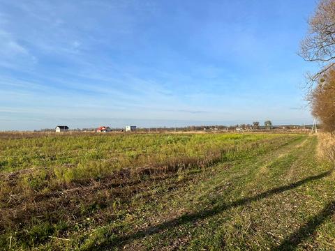 участок по адресу Щаслива