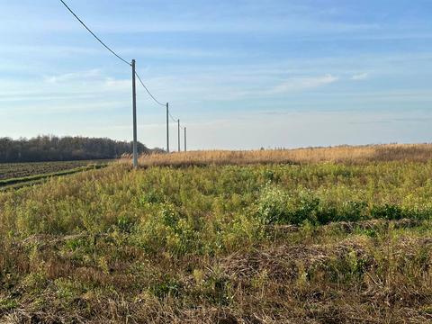 участок по адресу Щаслива