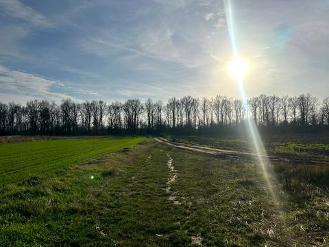 участок по адресу Щаслива