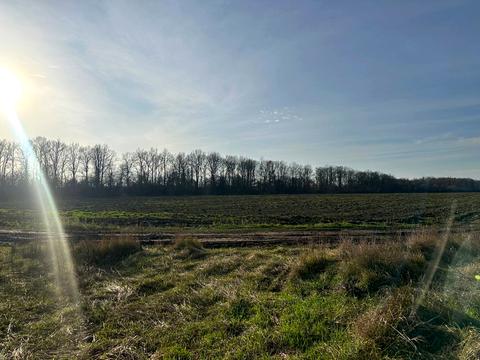 участок по адресу Щаслива