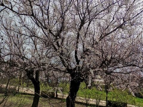 будинок за адресою Пересадівська вул., 2