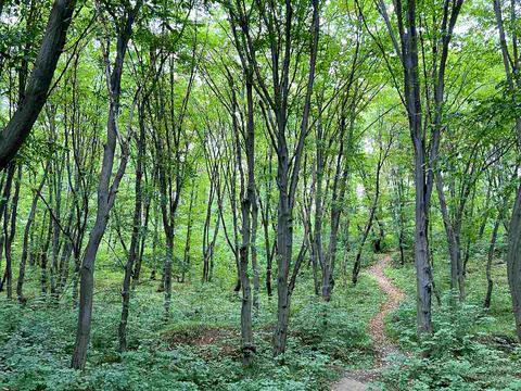квартира за адресою Лисогірський пров., 20