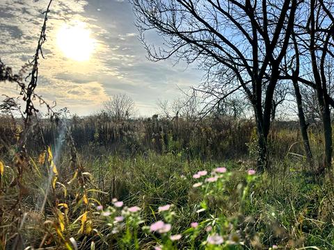 участок по адресу 