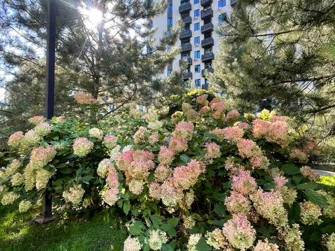 квартира по адресу Героев Небесной Сотни просп., 14/3