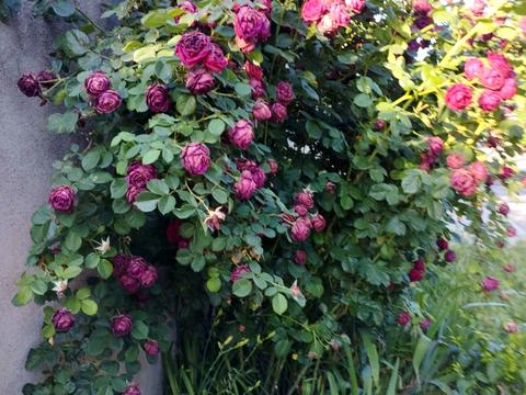 будинок за адресою 2-га вул., 18