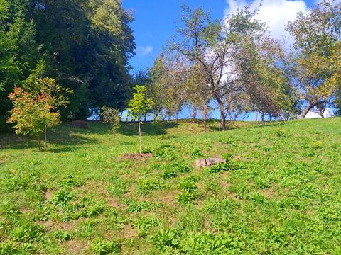 будинок за адресою с. Рожнів, Михайла Бойчука вул.