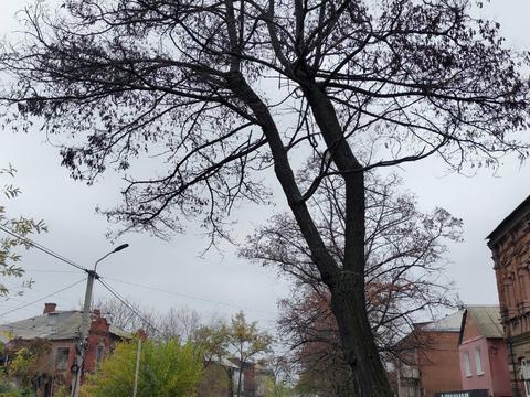 будинок за адресою Дніпро, Василя Вишиваного вул. (Свєтлова), 22