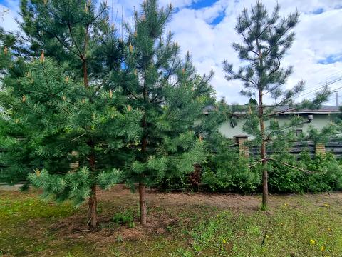 дом по адресу Нечуя-Левицкого ул., 2А