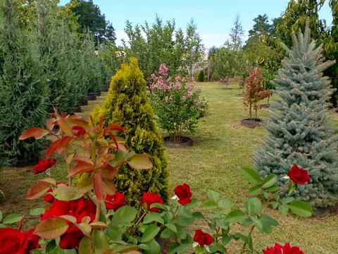 будинок за адресою Миру, 7