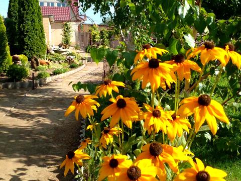 будинок за адресою Миру, 7