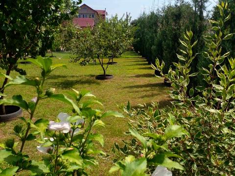 будинок за адресою Миру, 7