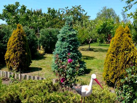 будинок за адресою Миру, 7