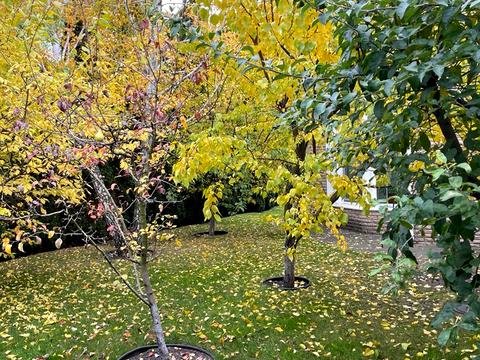 будинок за адресою Борщагівська вул., 40