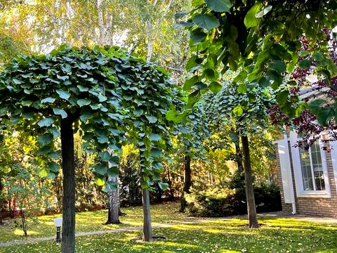 будинок за адресою Борщагівська вул., 40