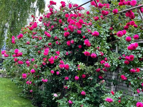 будинок за адресою Борщагівська вул., 40