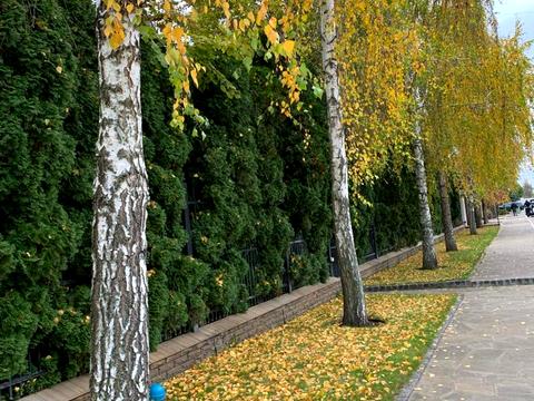 будинок за адресою Борщагівська вул., 40