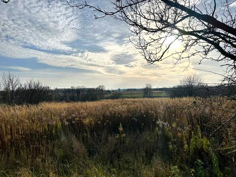 участок по адресу 