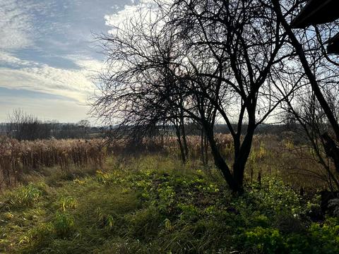 участок по адресу 