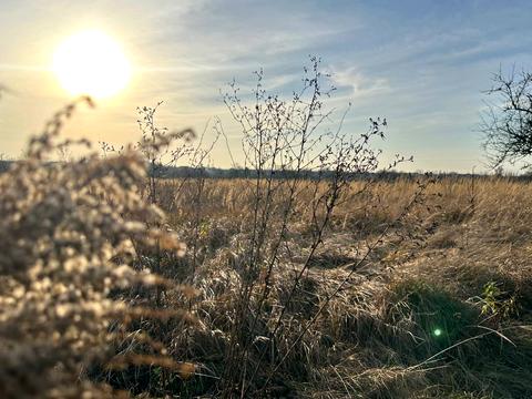 участок по адресу Ворошилова