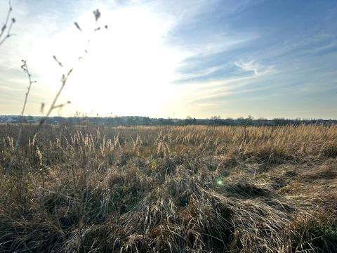 участок по адресу Ворошилова