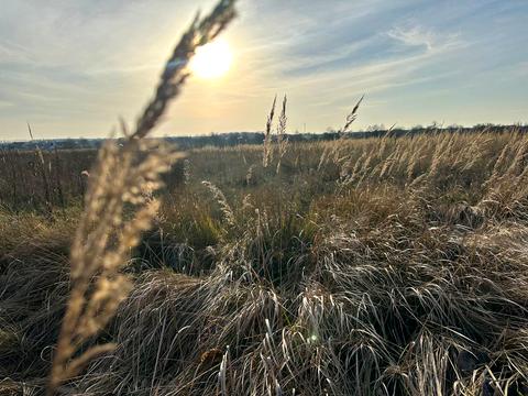 участок по адресу Ворошилова