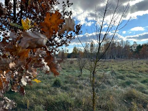 участок по адресу 