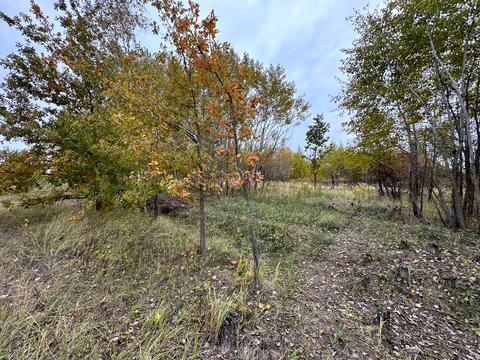 участок по адресу 