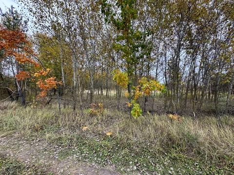 участок по адресу 