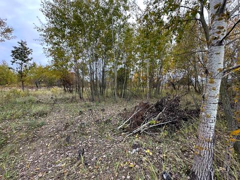 участок по адресу 