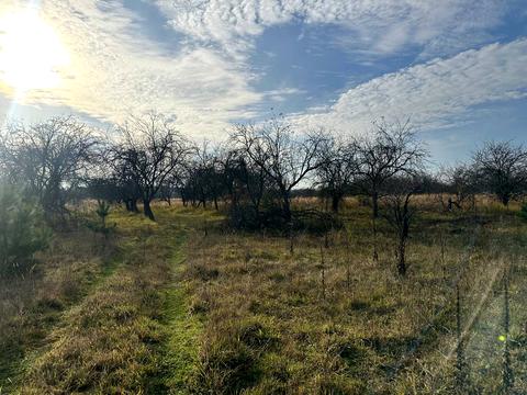 участок по адресу 