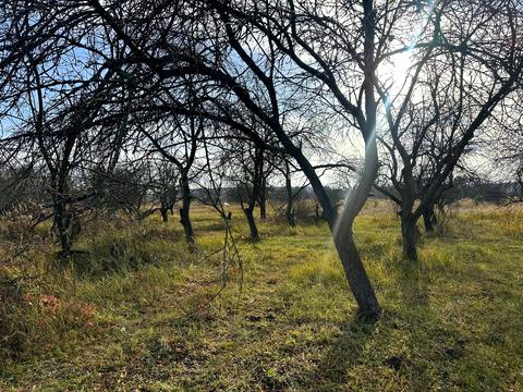 участок по адресу 