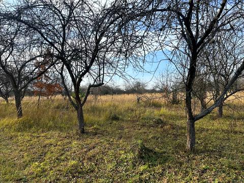 участок по адресу 