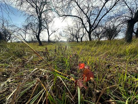участок по адресу 