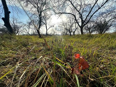 участок по адресу 
