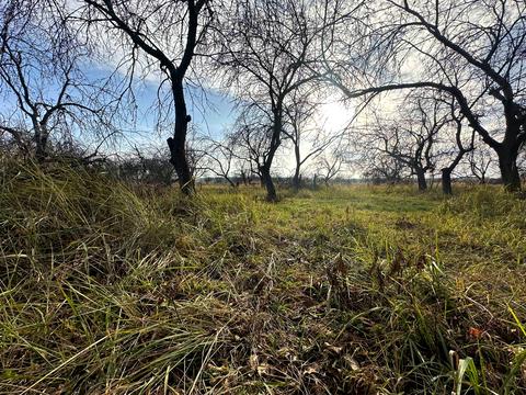 участок по адресу 