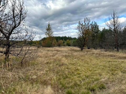 ділянка за адресою 