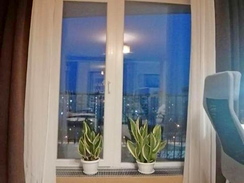 квартира за адресою Перемоги просп., 67