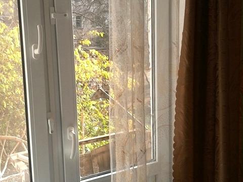 квартира по адресу Ильфа и Петрова ул., 6/2